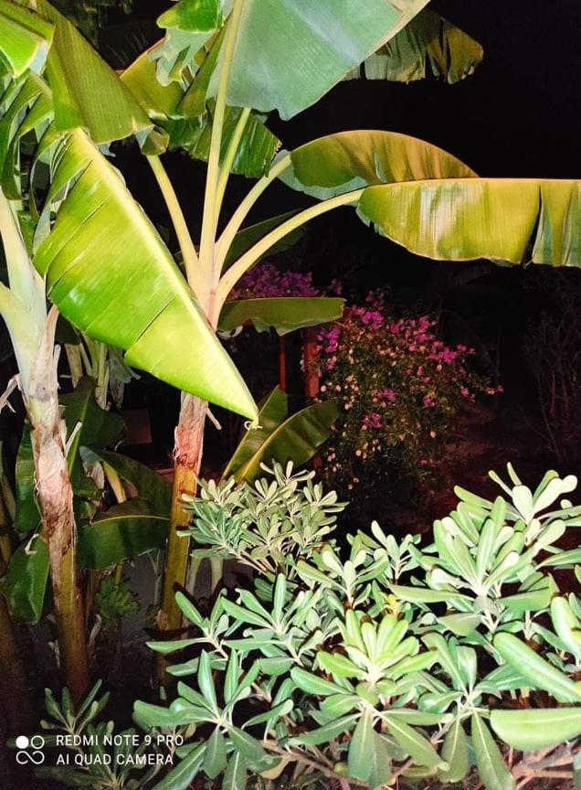 Aglaia House Villa Kouspádhes Dış mekan fotoğraf