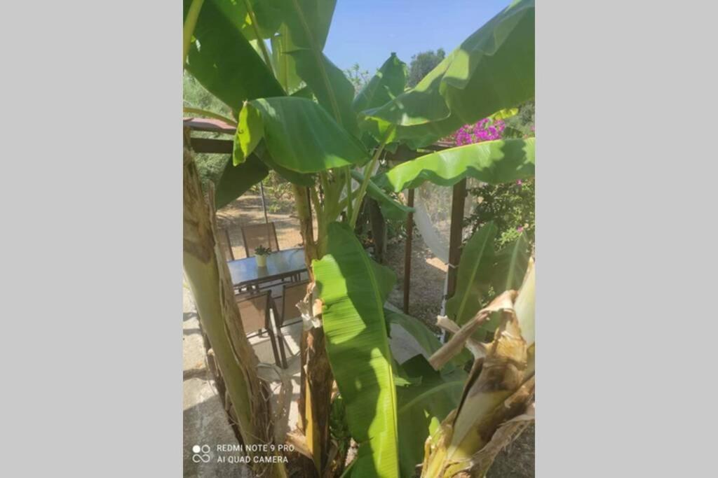 Aglaia House Villa Kouspádhes Dış mekan fotoğraf