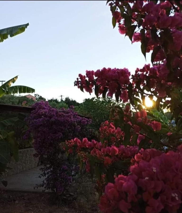 Aglaia House Villa Kouspádhes Dış mekan fotoğraf
