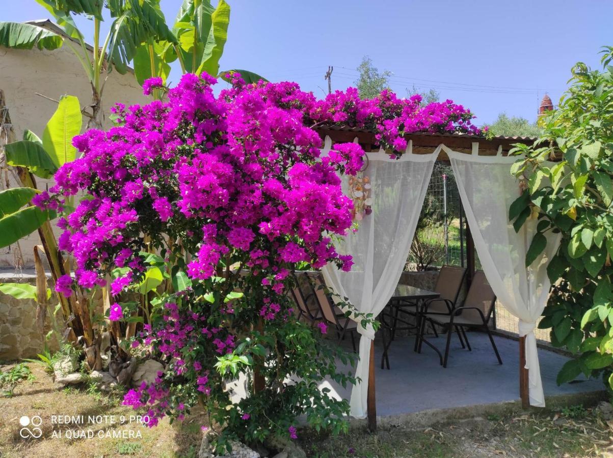 Aglaia House Villa Kouspádhes Dış mekan fotoğraf