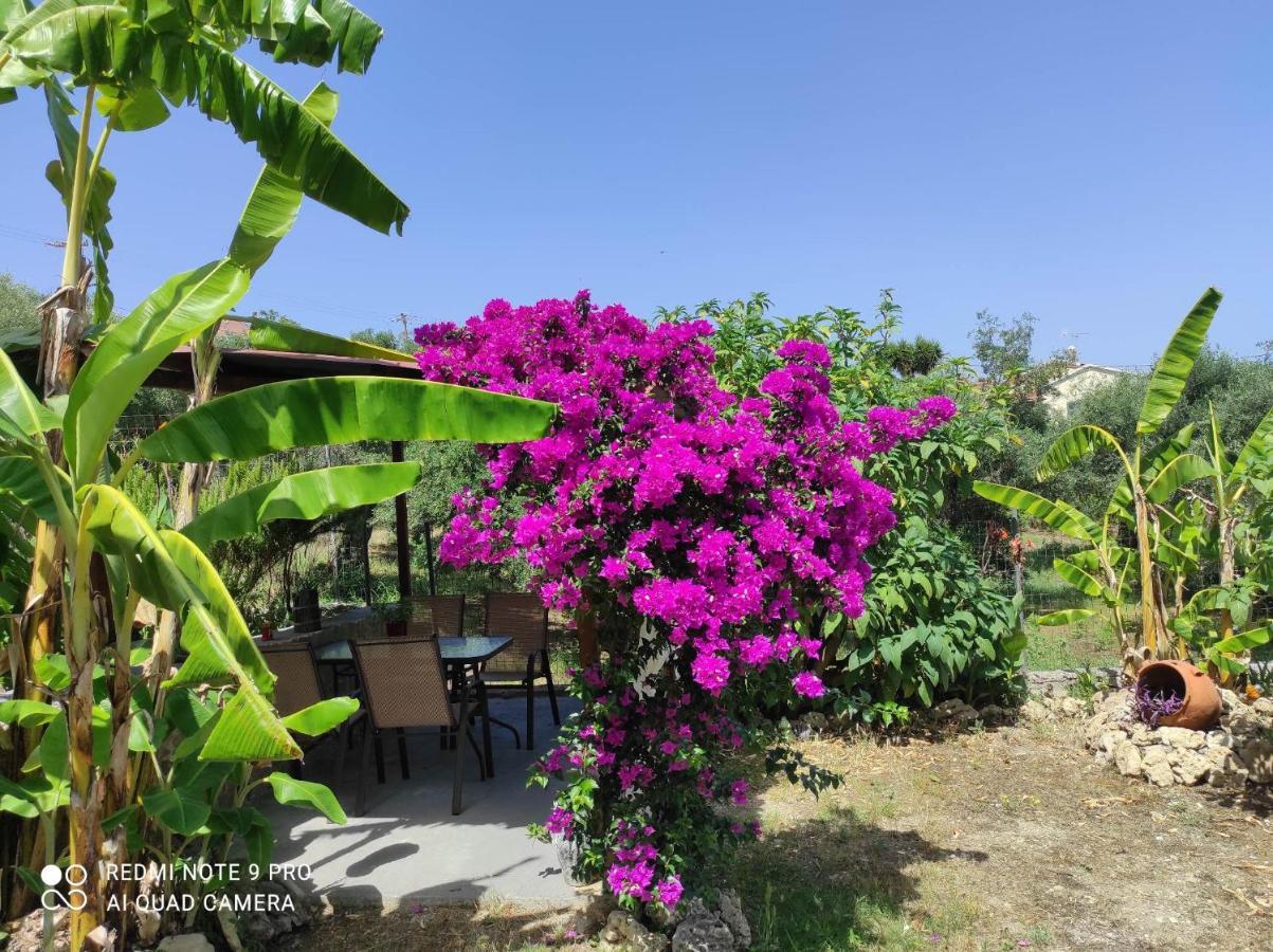 Aglaia House Villa Kouspádhes Dış mekan fotoğraf