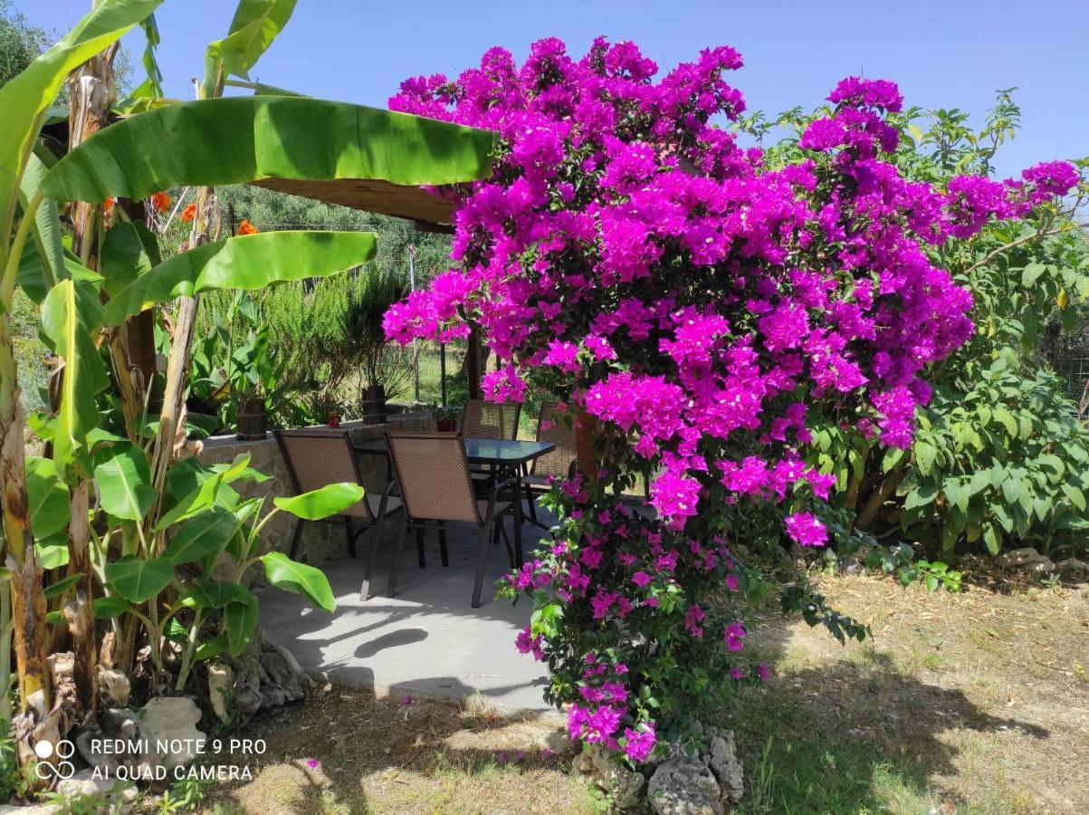 Aglaia House Villa Kouspádhes Dış mekan fotoğraf