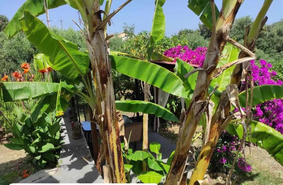 Aglaia House Villa Kouspádhes Dış mekan fotoğraf